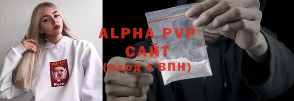 стафф Алексин