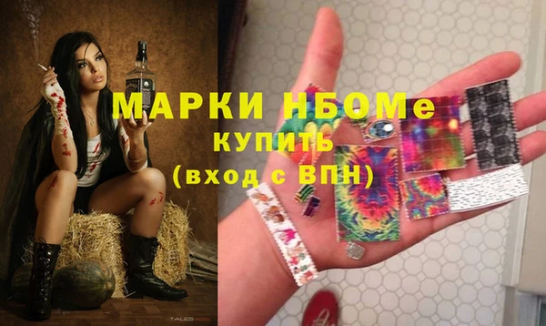 стафф Алексин