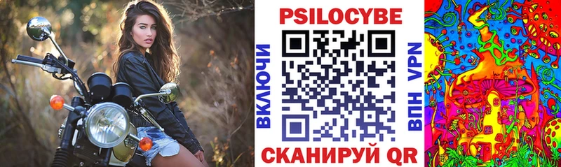 это как зайти  Суровикино  Псилоцибиновые грибы Cubensis 