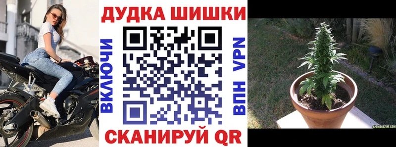 Бошки марихуана сатива  Суровикино 
